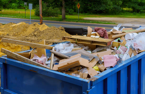 Best Hoarding Cleanup  in Hometown, IL